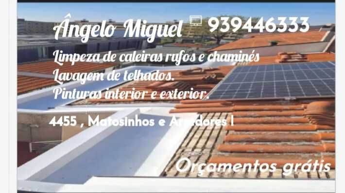 Lavagem de muros e telhados