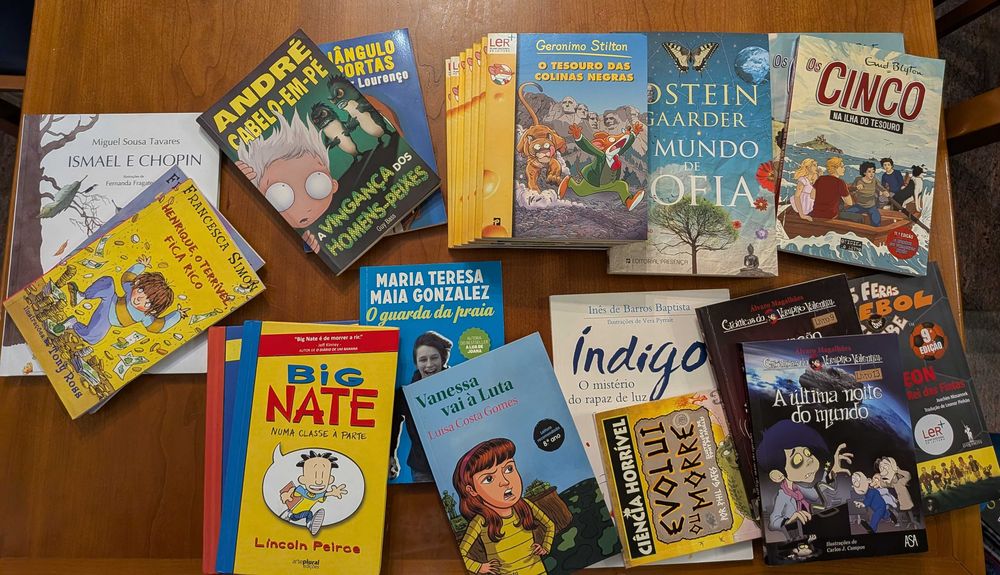 Coleção Livros Juvenis - COMO NOVOS