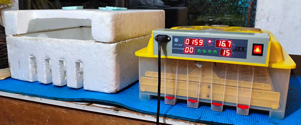 Chocadeira com viragem automática 48 ovos