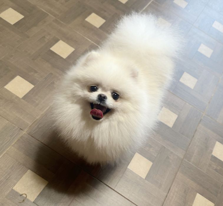 Супер кровi,в’язка i/о