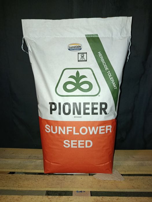 Насіння соняшнику Піонер P64LE185/Сінгента Суміко