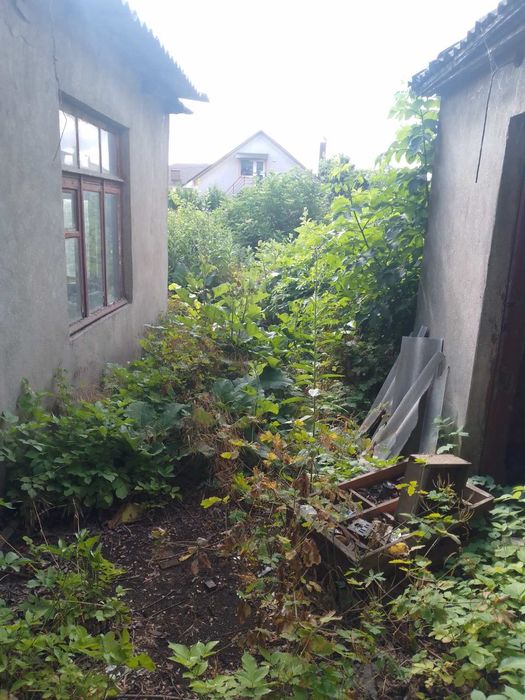 Покос травы, сборка, вывоз скошенного. Уборка участков.