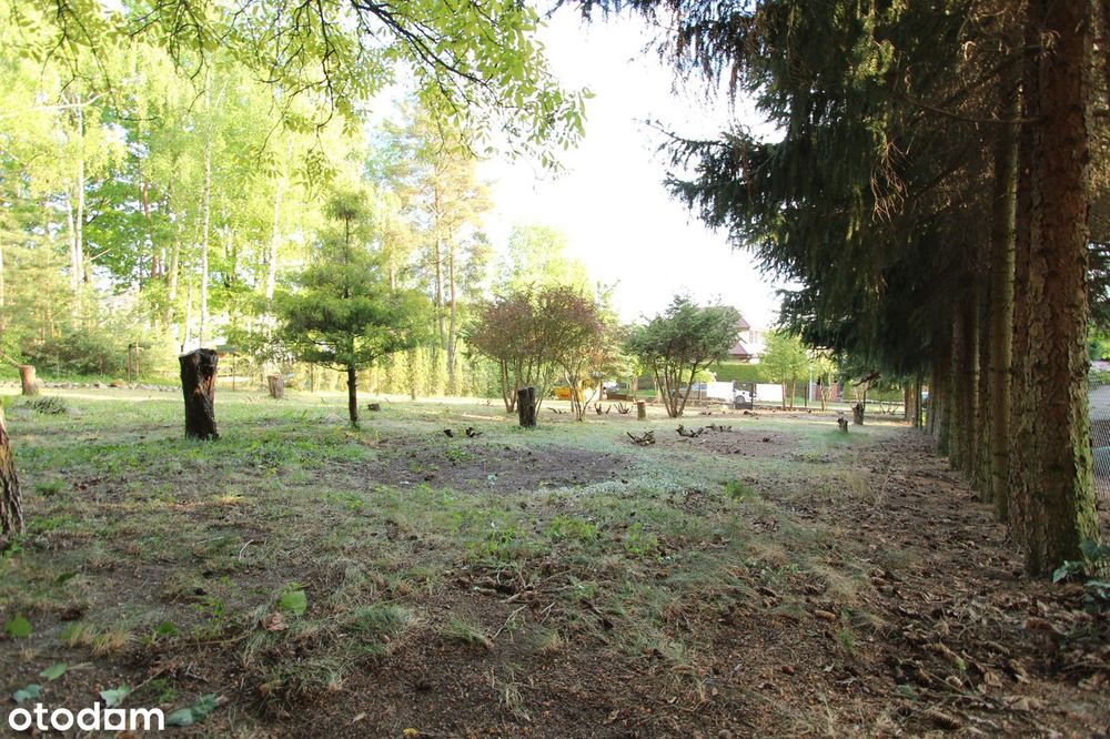 Działka 1333 m2 SUCHY LAS