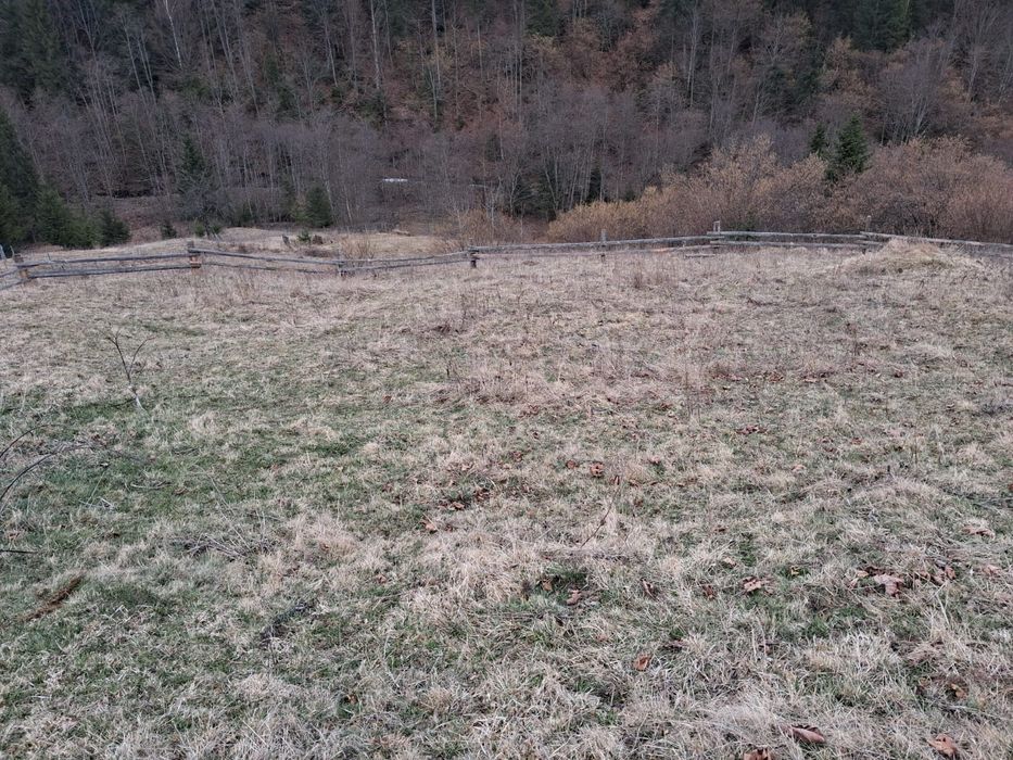 Земельна ділянка Криворівня