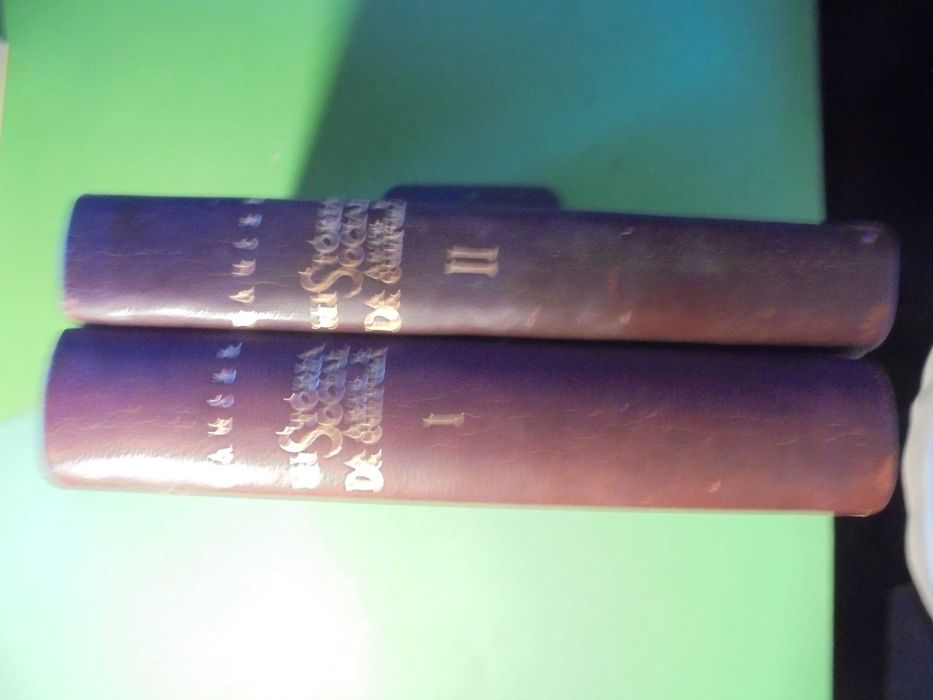 Hauser (Arnold);História Social da Arte e da Cultura