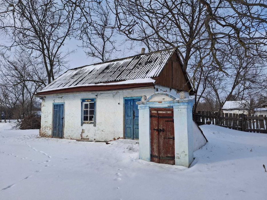 Будинок у мальовничому селі