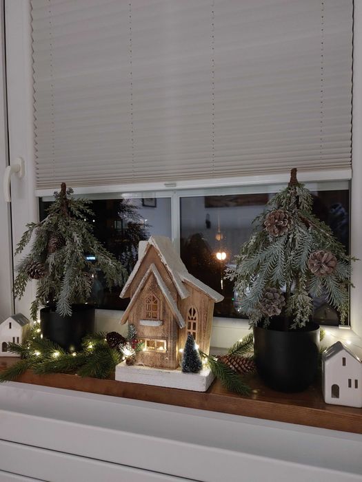 Willa KAMELIA - apartamenty