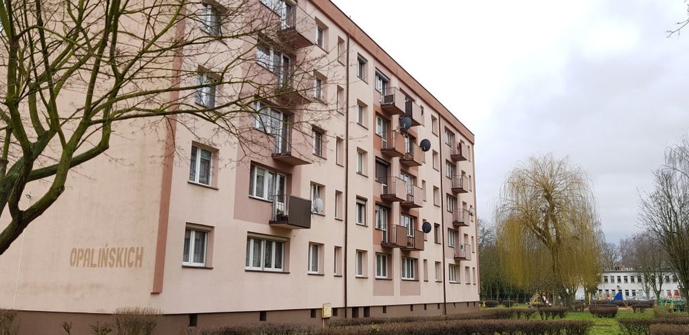 INWESTYCYJNIE! na SPRZEDAŻ 2-pokojowe mieszkanie w Lesznie, 40 m², - Widok 5