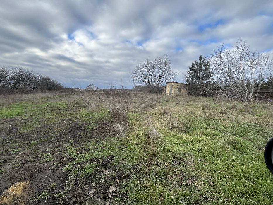 участок в селе Выгода