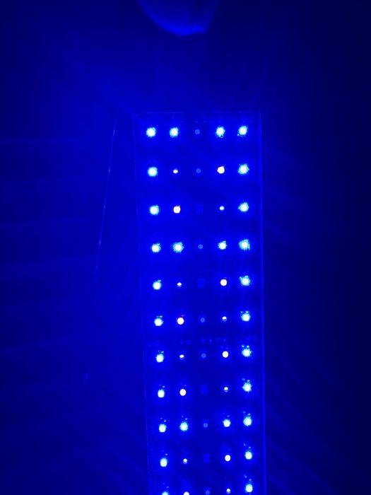 Lampa do akwarium morskiego