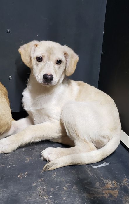 Малышка в хорошие ручки!