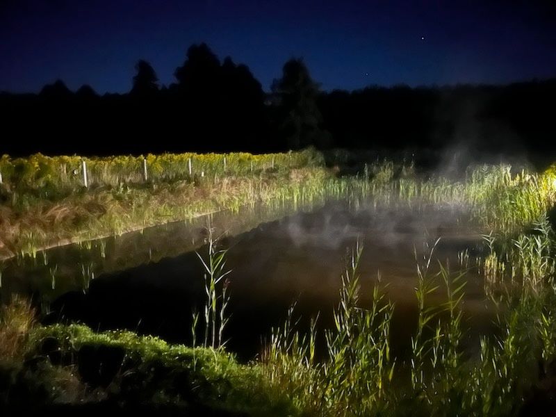 Sprzedam działkę o powierzchni 1997 m²