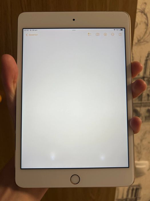 iPad mini 4 64gb