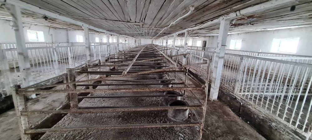 Продаж тваринницького комплексу. 5000 кв.м. 11 га.