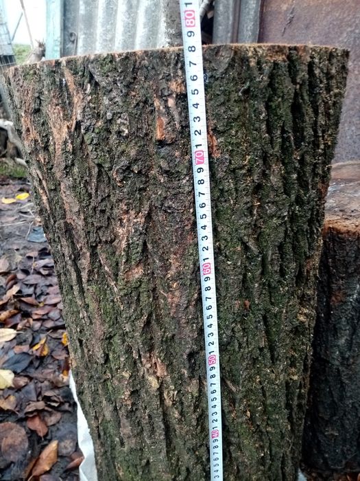 Продам деревянные колоды, кругляк с абрикосы