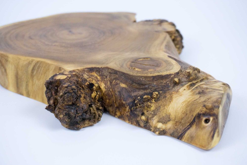 Patera do serwowania z akacji