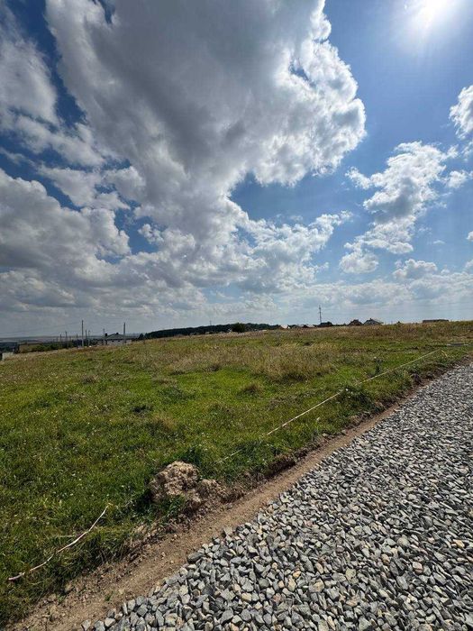 Продаж земельної ділянки, с. Лісові Гринівці, площа 10 сот.