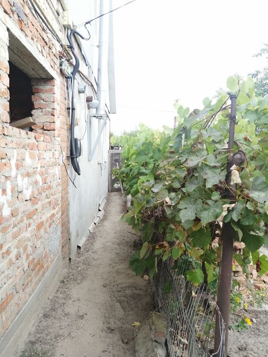 Будинок Терешки 74 м², газ, вода, ліс, гараж, 5.6 сотки