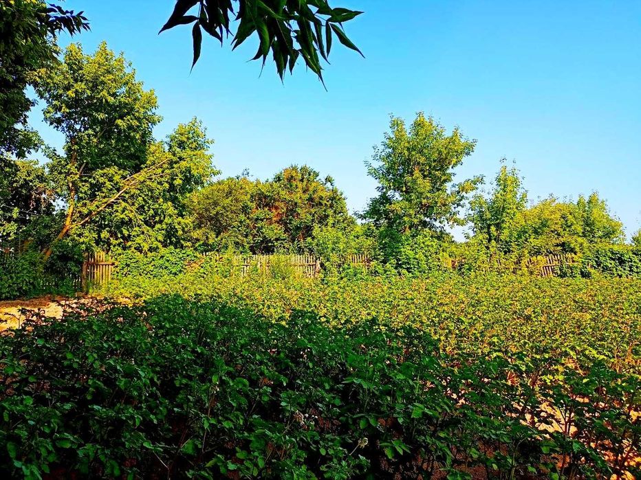 TO Хата у стародавньому селі Виблі