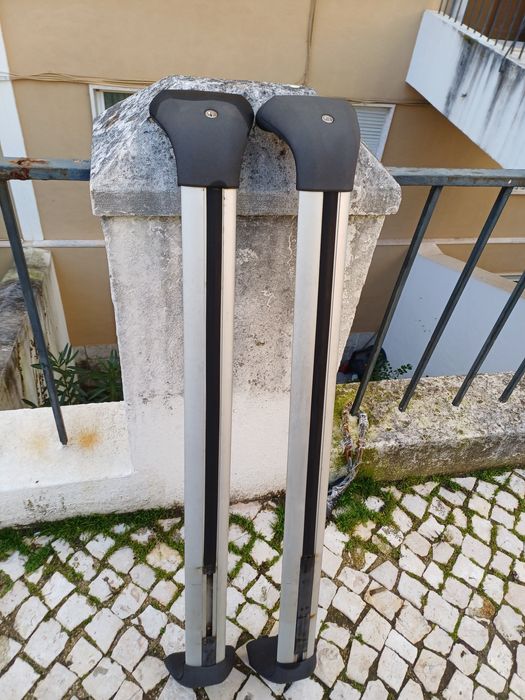 Barras de tejadilho Scenic