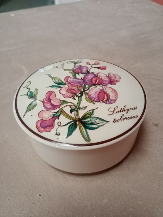 Villeroy & Boch Botanica Lathyrus Tuberosus Dose Humana Rare Vintage Porcelain 10cm