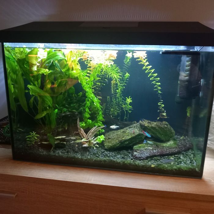 Sprzedam akwarium 72 l