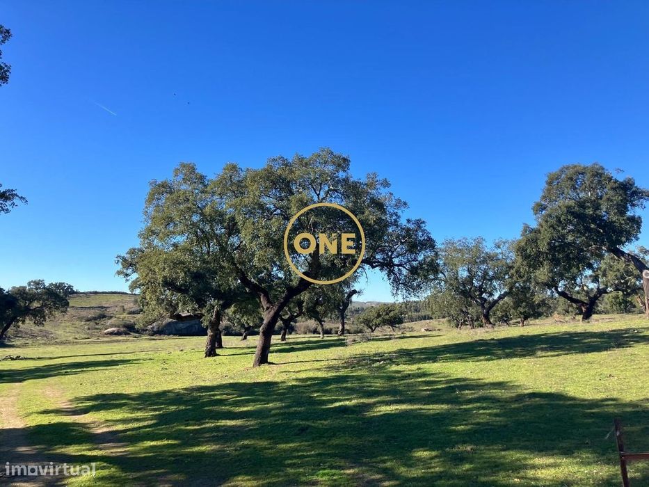 Herdade com 249,868 ha, junto á estrada nacional nº359, no concelho de
