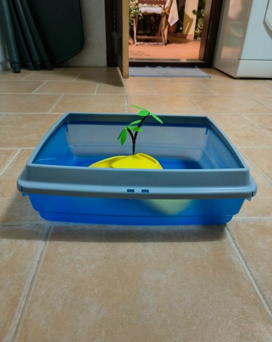 Aquário para tartarugas
