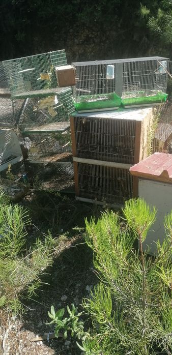 Gaiolas, ninhos e acessórios