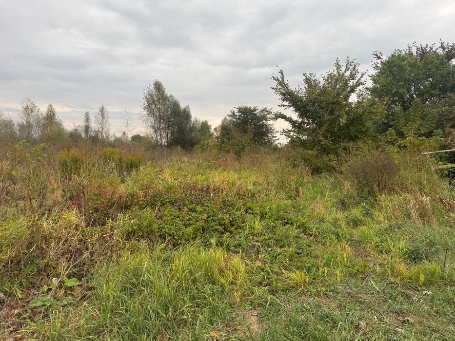 Продам участок 8 сот, дачне будівництво, перша лінія води, с. Зазим’я