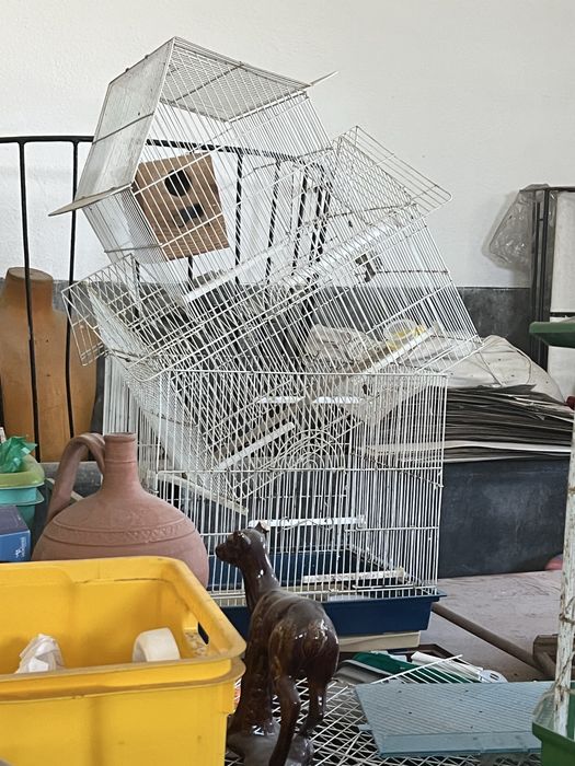 Conjunto de 5 gaiolas para aves canoras