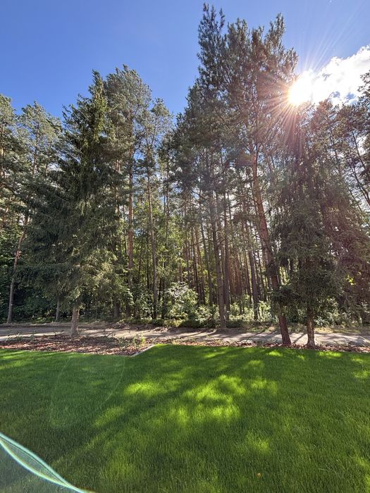 Nowy Domek w lesie, Roztocze, Balia, Altana