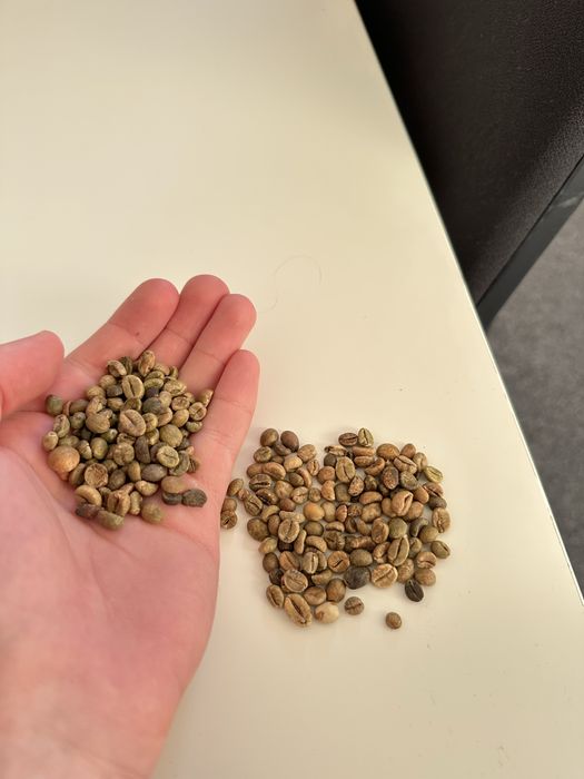 Кава в зернах Робуста Вʼєтнамська | ОПТ | від 15 кг