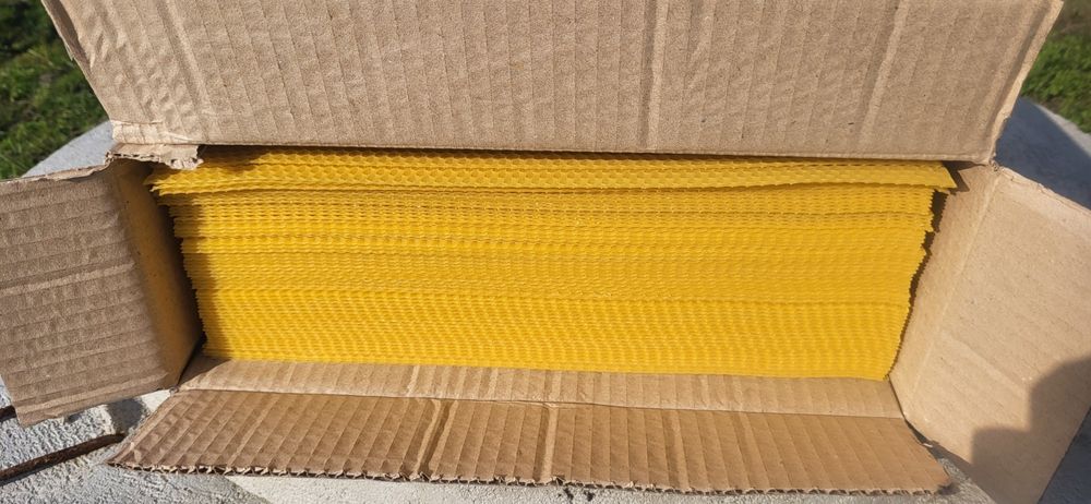 Węza Pszczela Wielkopolska,Dadant 55zl/ kg