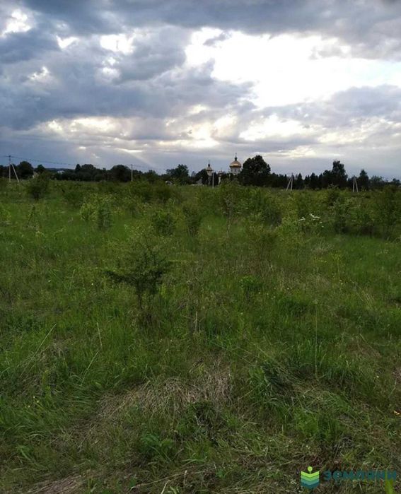 Продається ділянка 10,67 сот під будівництво в с.Клузів (8)