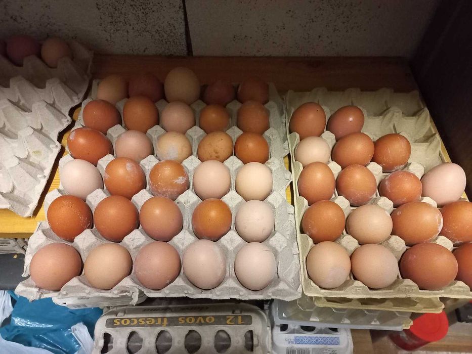 Vendo  ovos caseiros