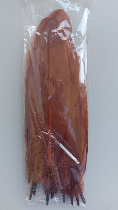 Піря коричневе велике і маленьке