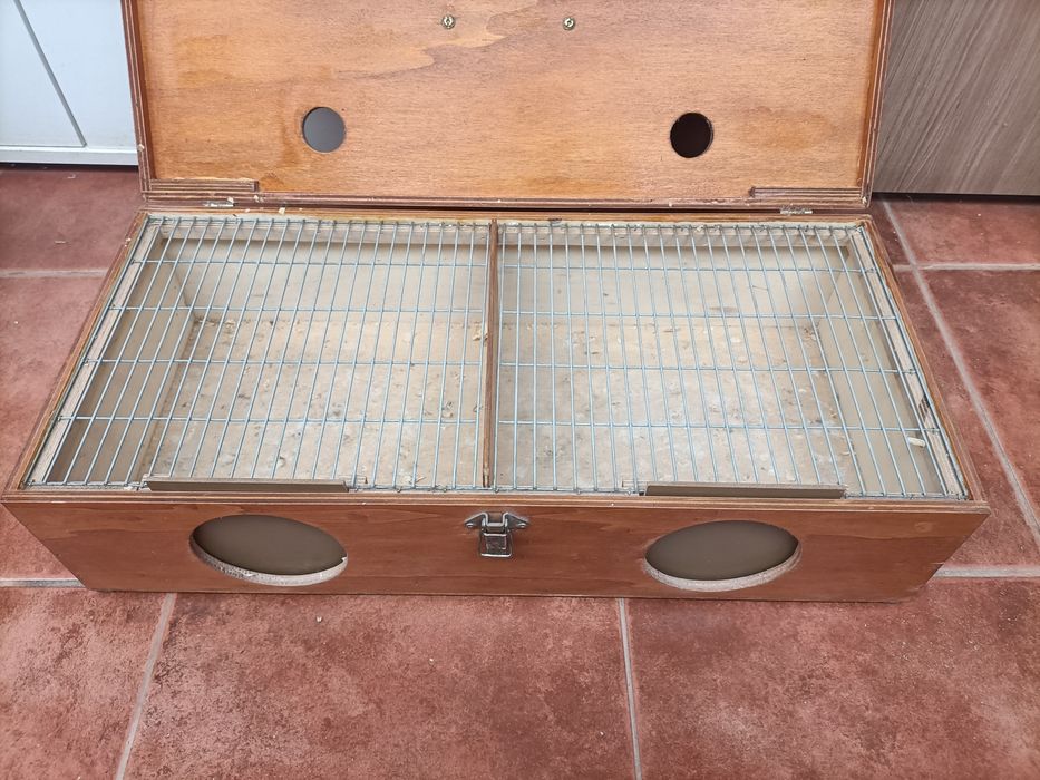 Tenho transportadora para cedência