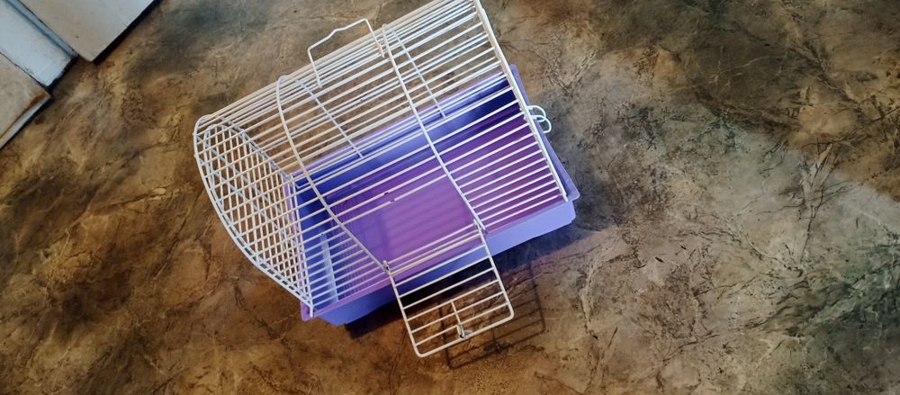 Клітка для гризунів