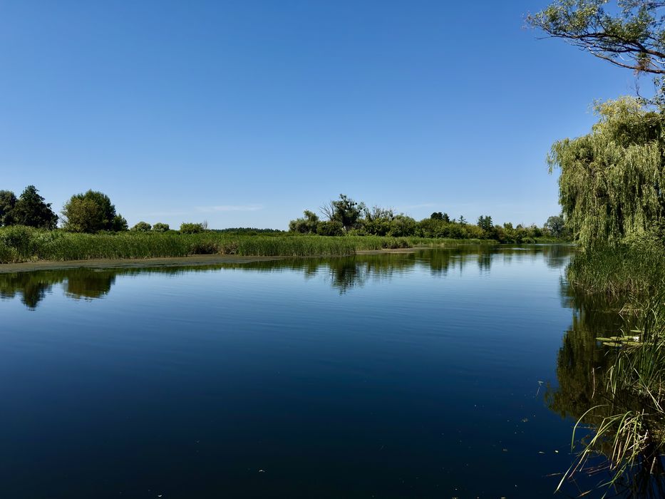 Дача з  банею біля річки, кооператив «Сади Дружба», с. Лозівок.