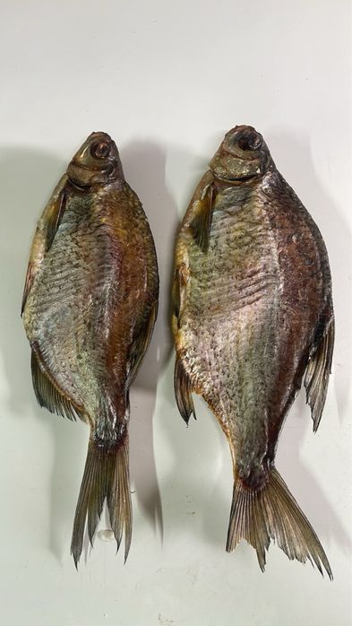 Плотва з ікрою, тарань, лящ, густера, щука, окунь