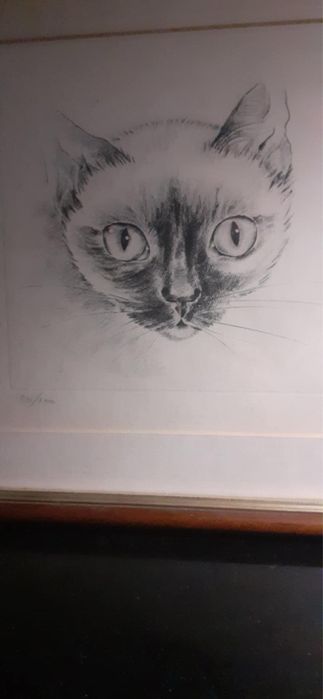 Quadro de um gato a preto e branco