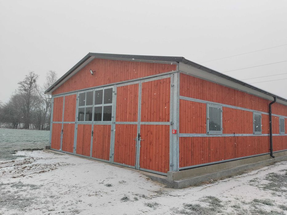 Stajnia dla koni. Wolne boksy