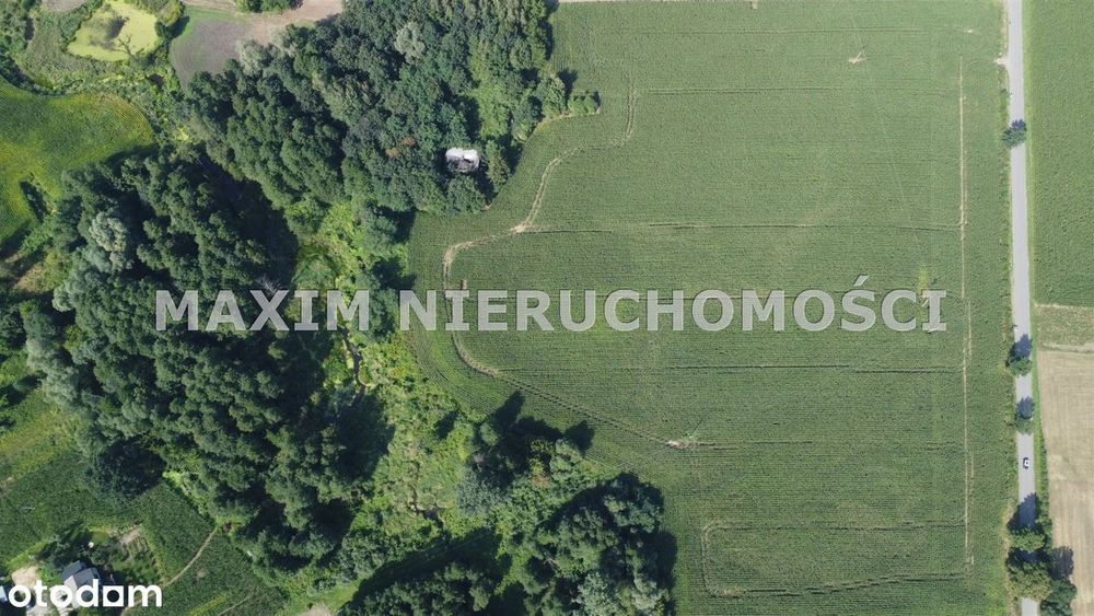 Działki z WZ nad rzeką Miszewko gm.Bodzanów - Widok 3