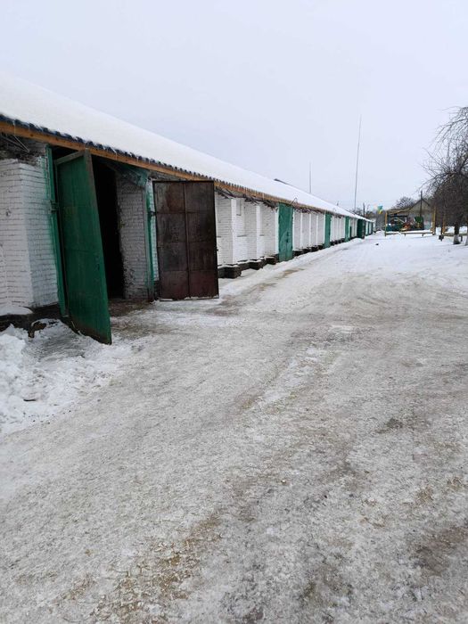 Продаж елеваторного комплексу ТОВ «ТАС АГРО ЦЕНТР» (с. Ольшаниця)