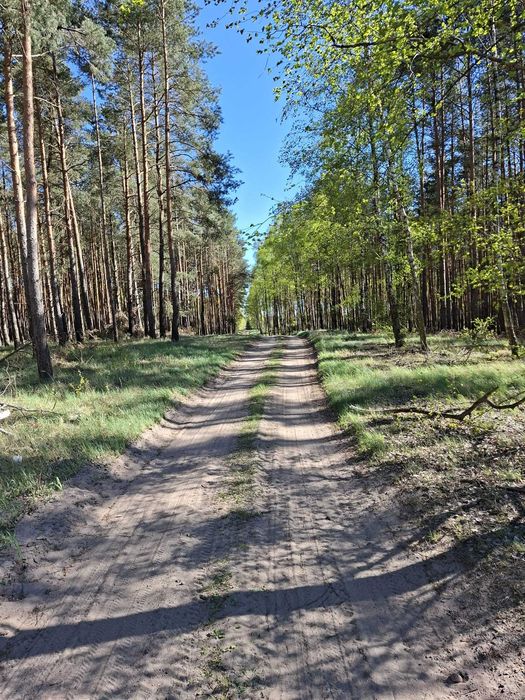 Działka budowlana Annowo