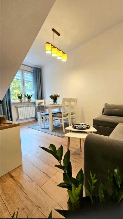 Do wynajęcia- 2-pokojowe bezczynszowe mieszkanie