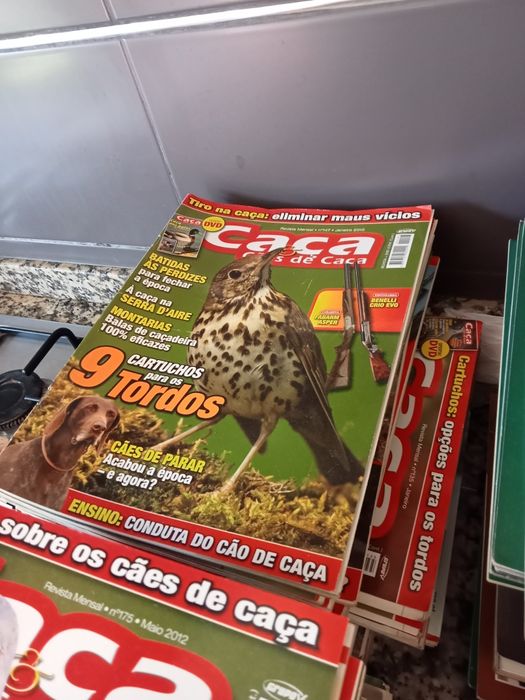 Conjunto de revistas de caça