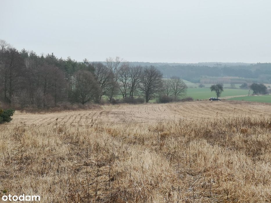 Wydzierżawię działkę rolną - Widok 3