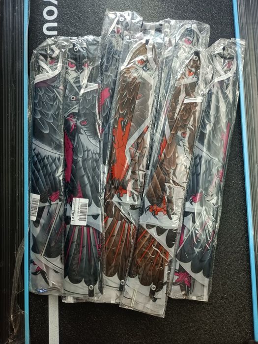 10 Pipas aves águias e falcões